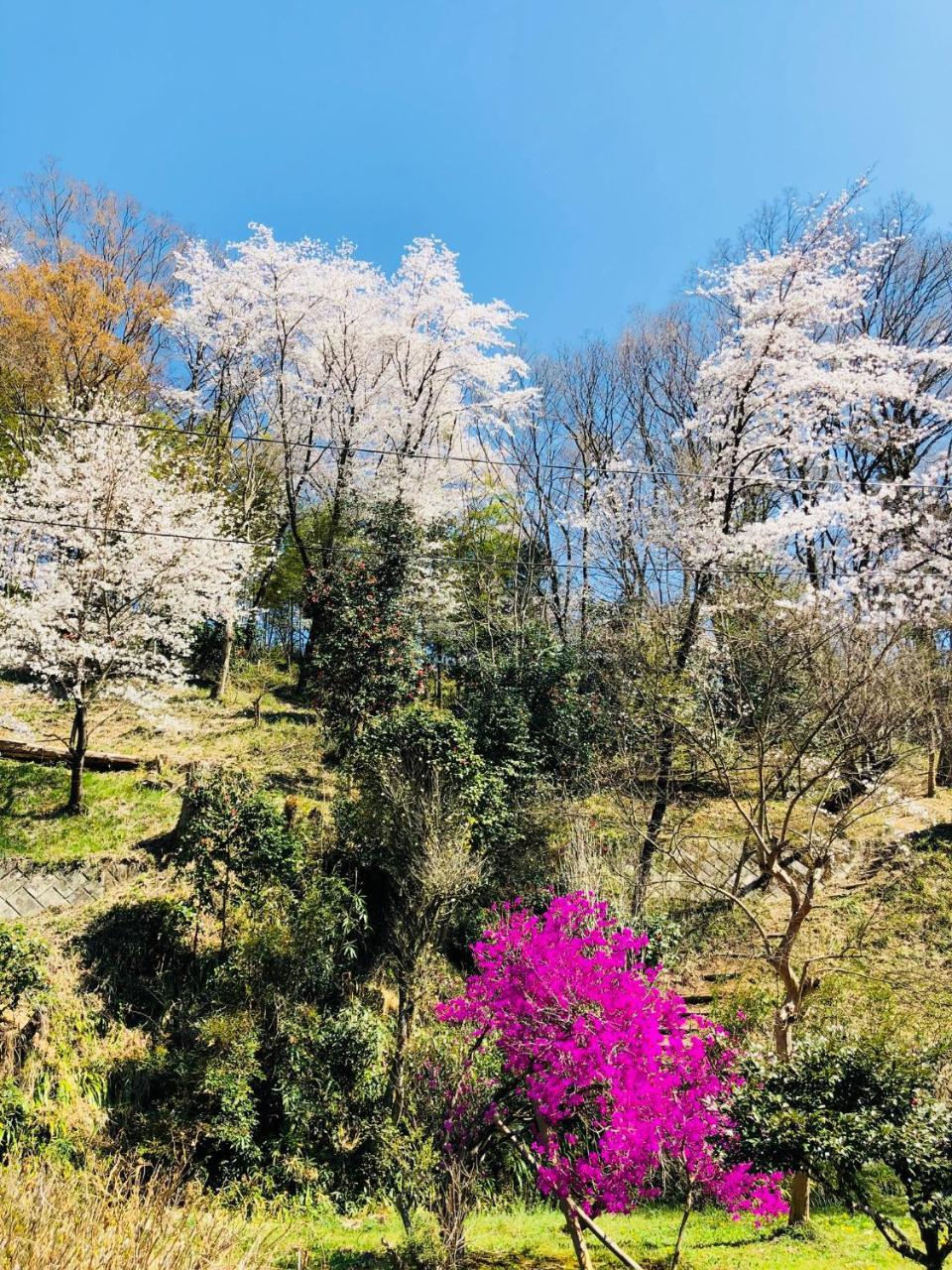 Ryutakuzenji 宿坊 Takasaki Εξωτερικό φωτογραφία