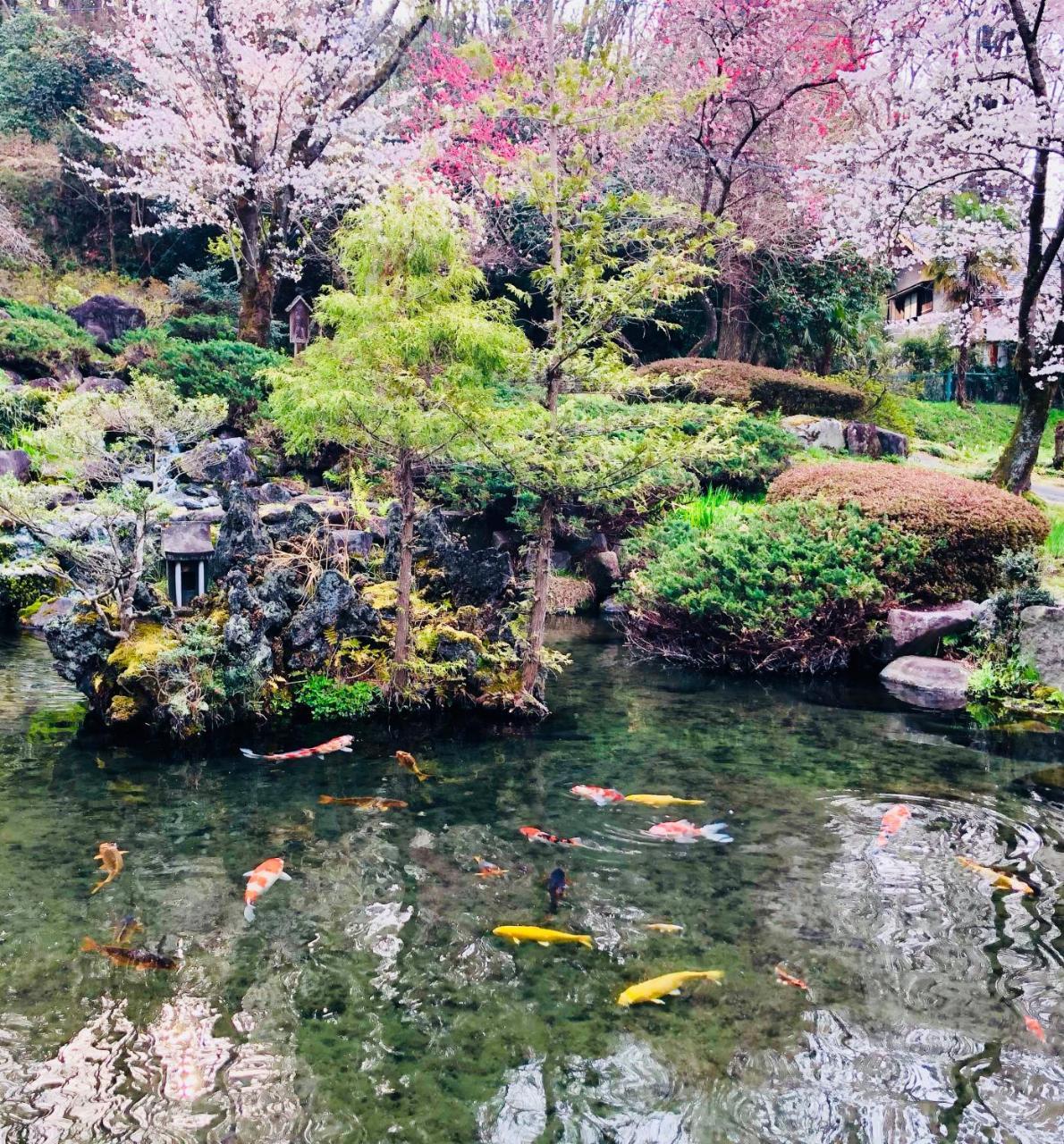 Ryutakuzenji 宿坊 Takasaki Εξωτερικό φωτογραφία